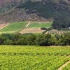 LUXURY WINELANDS TOUR