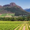 LUXURY WINELANDS TOUR - Image 5