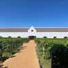 LUXURY WINELANDS TOUR - Image 2