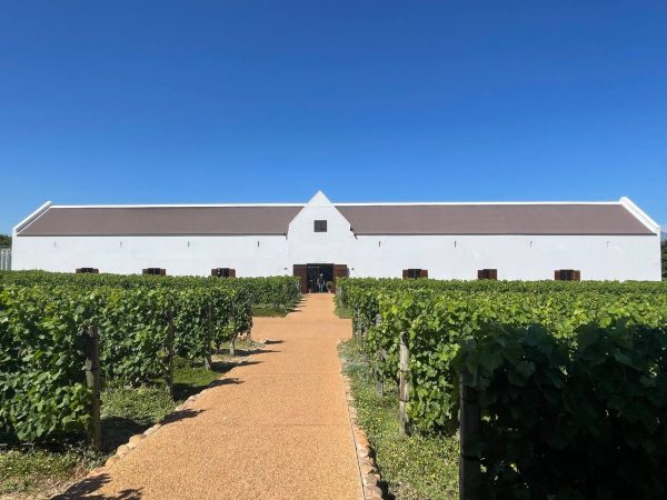 LUXURY WINELANDS TOUR - Image 2